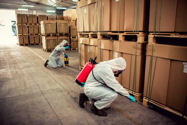 Best Wasp Removal Services  in North Boston, NY