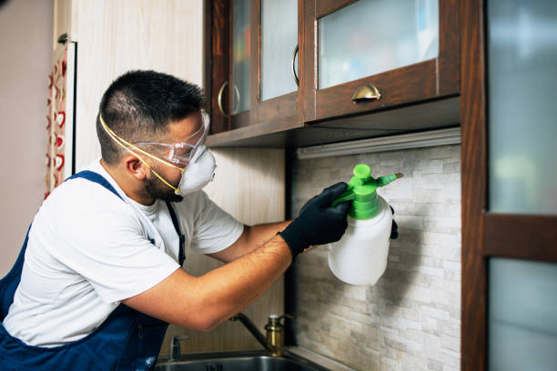  North Boston, NY Pest Control Pros