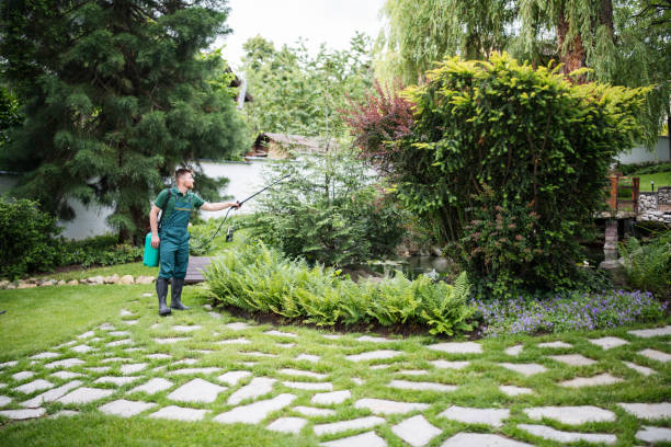 Best Best Pest Control Near Me  in North Boston, NY