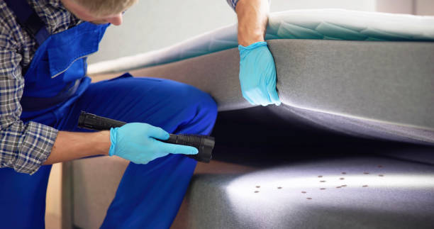 Best Bed Bug Extermination  in North Boston, NY