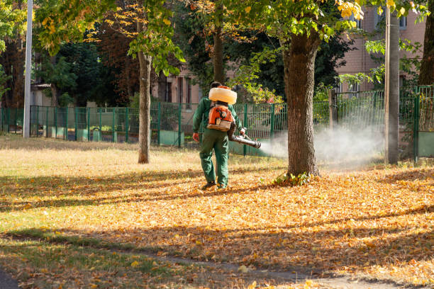 Best Commercial Pest Control Services  in North Boston, NY